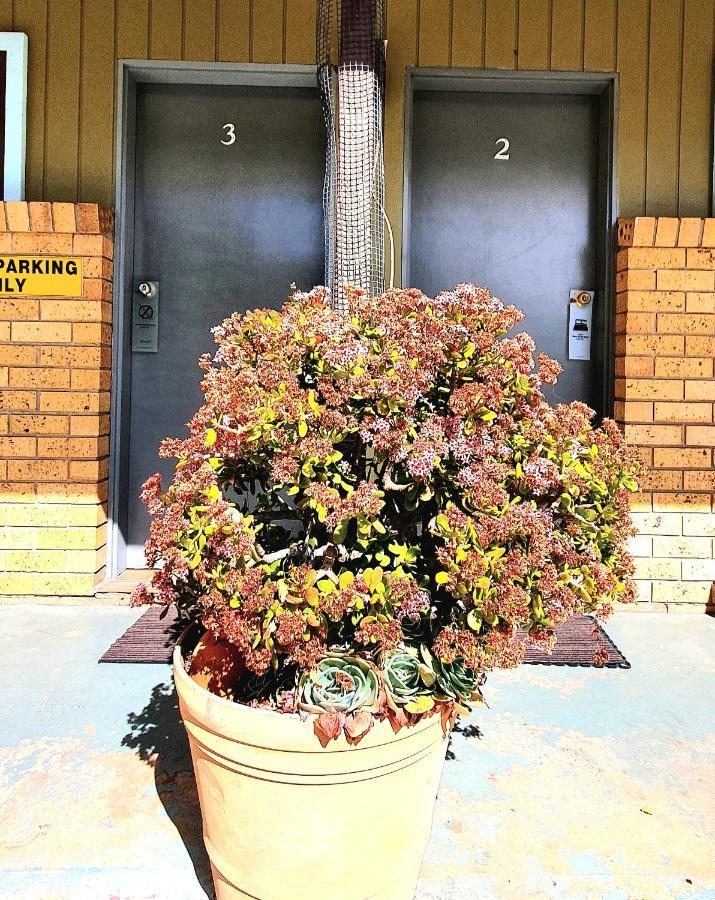 Goldrush Motel Young Cbd Екстериор снимка